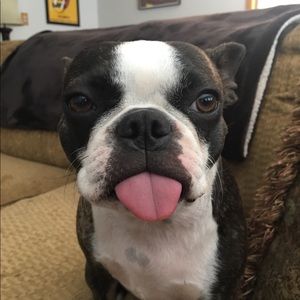 Meet your Posher, Daniella